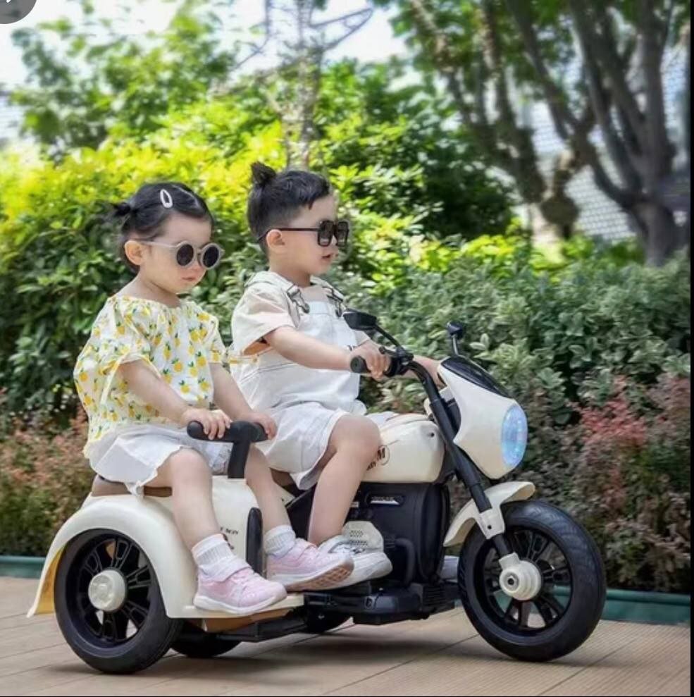 موتور كهربائي مع مرافق