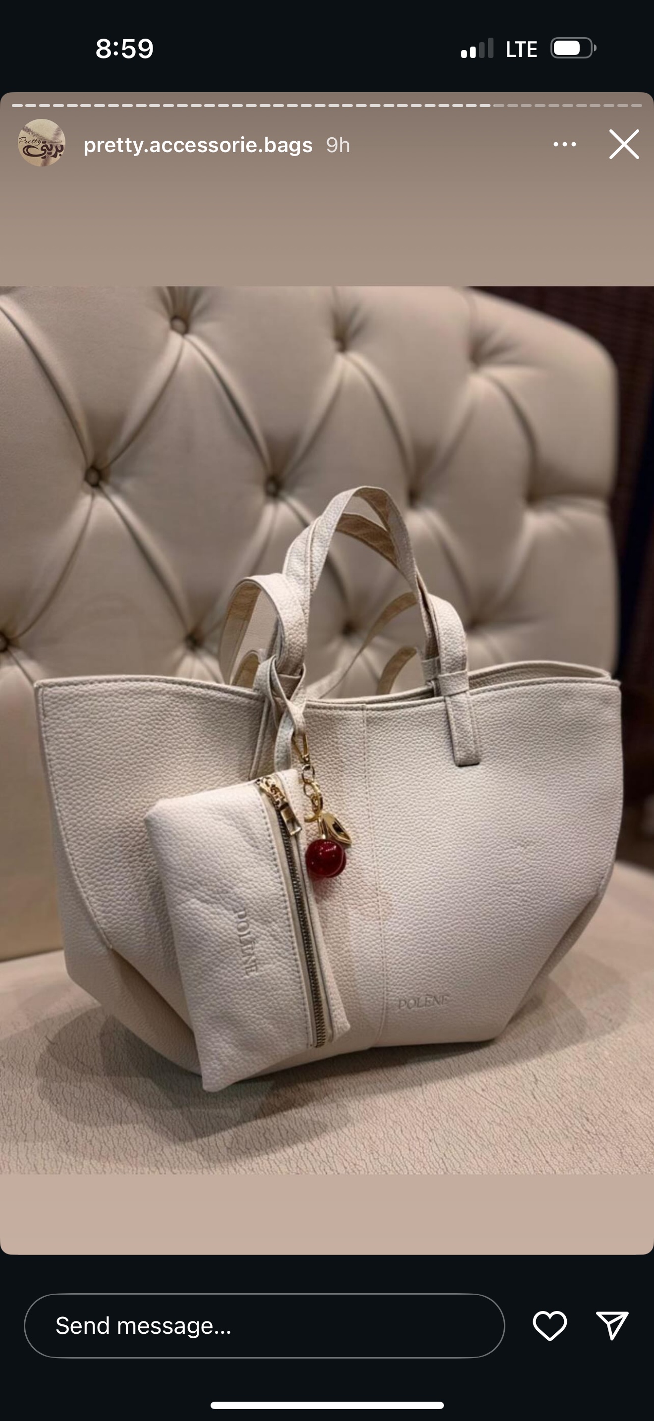 حقيبة نسائية 6